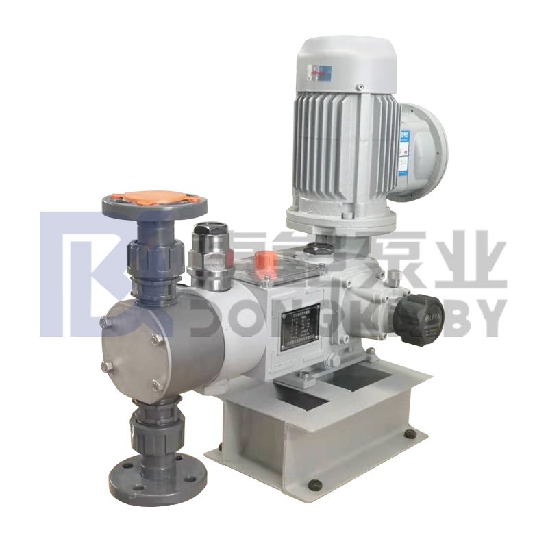 High Precision Metering Pump